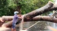 Heavy Rain Disrupts Traffic And Rail Services